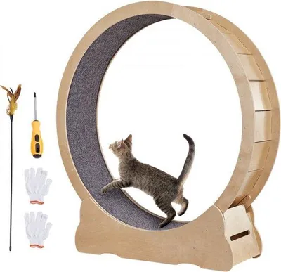 Produktbild von Famanu Katzenlaufrad 1320x340x1415mm - Geräuscharm, aus Birken- und Pappelholz
