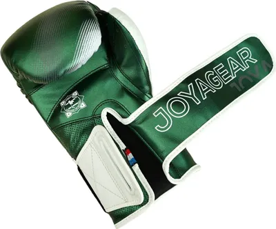 Produktbild von Joyagear Evolution Boxhandschuhe - Grün/Weiß - 16 oz.