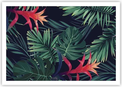 Produktbild von Poster - Poster ohne Rahmen - Exotisch Blumen Blätter - 100x70 cm - Wand Bild - Wanddeko - Wandbilder - Kunstposter - Wandposter - Bilder - Kunstdruck - Wanddekoration - Wandbild - P2XAA100x70-4308