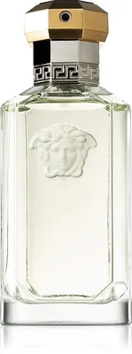 Produktbild von Versace The Dreamer Eau de Toilette 100 ml Herren