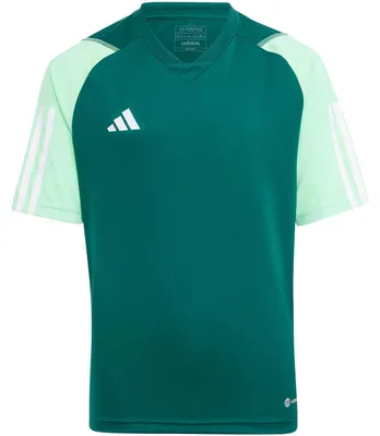 Produktbild von adidas teamwear T-Shirts HU1300 Grün