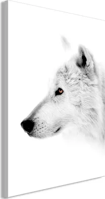 Produktbild von Vlies Leinwandbild - Amber Gaze (1 Part) Vertical 40x60 cm Tiere g-C-0237-b-a