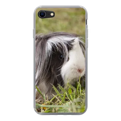 Produktbild von MuchoWow® Handyhülle Schutzhülle Hülle für iPhone SE 2020 Langhaar-Meerschweinchen Silikon Softcase Handy Hülle - Kartenbesitzer