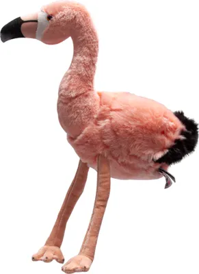 A plush toy flamingo is shown against a white background.