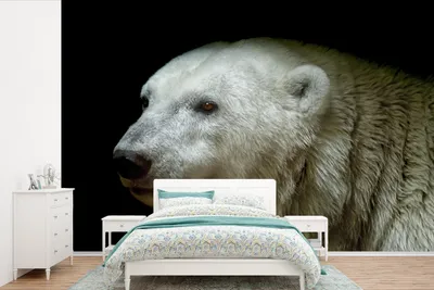 Produktbild von MuchoWow® Fototapete für Wohnzimmer oder Schlafzimmer Wandtapete Vinyl Motivtapete Nahaufnahme Eisbär - 420x280 cm - Zimmer für Kinder