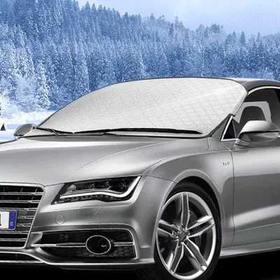 Produktbild von Wetterdach für Autos, 145 x 95 cm, Windschutzscheibeüberdachung, Winterversion für Schutz vor Eis.