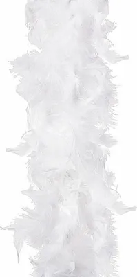 Image de Chaîne de Noël Garlanda 6m blanc