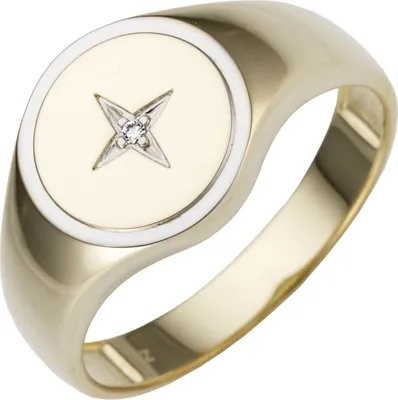 Produktbild von Herren Ring aus 585 Gold Gelbgold bicolor mit Diamant Brillant flach rund Innenumfang 60mm  Ø19.1mm