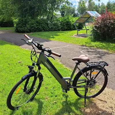 An electric bicycle is parked on a grassy area next to a paved path in a park.