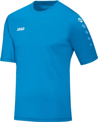 Produktbild von Trikot Team KA JAKO