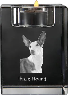 Produktbild von Podenco Ibicenco, Ibiza-Podenco,Ca Eivissec - Kerzenhalter mit Hundefoto, Teelichthalter aus Kristall, personalisiertes Geschenk der Marke Art-Dog