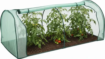 Produktbild von Relaxdays Frühbeet, HxBxT: 80 x 200 x 100 cm, Tür mit Reißverschluss, flache Hochbeetabdeckung, PE-Folie & Eisen, grün