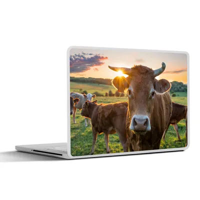Produktbild von MuchoWow® Laptop Aufkleber Sticker Cover Kühe - Sonne - Wiese - Landleben 30x22 cm - Laptop-Sticker
