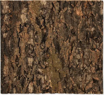 Produktbild von Repti Planet 007-54037, Holz, 1 Stück(e), 290 mm, 20 mm, 273 mm
