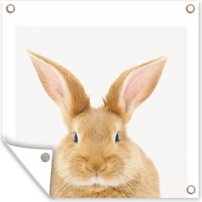 Produktbild von MuchoWow® 100x100 cm Outdoor-Poster Gartendeko Sichtschutz Garten Poster für den Garten  Tiere - Kaninchen - Weiß