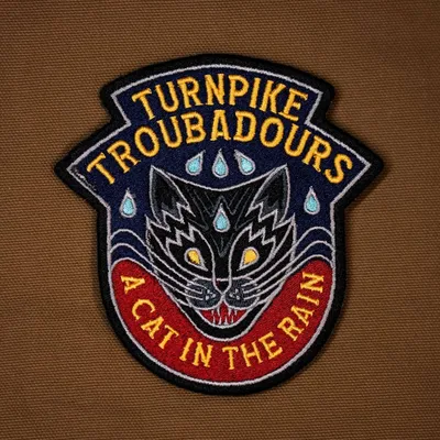 Obrázek produktu pro Turnpike Troubadours: A Cat In The Rain