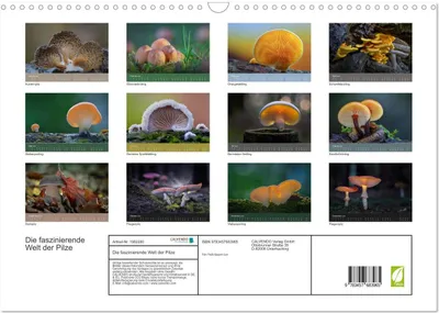 Produktbild von Die faszinierende Welt der Pilze (Wandkalender 2026 DIN A3 quer), CALVENDO Monatskalender