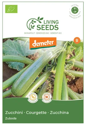 Produktbild von Zucchini Zuboda 5.37g Saatgut von Living Seeds