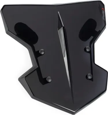 Image de PUIG 20337F Flanker pour YAMAHA MT-09 fortement teinté