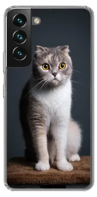 Produktbild von MuchoWow® Handyhülle Schutzhülle Hülle für Samsung Galaxy S22 Katze - Haustiere - Licht Silikon Softcase Handy Hülle - Mobiltelefonhülle