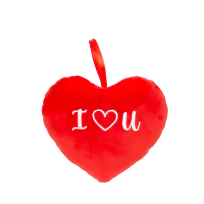 Obrázok produktu pre Plyšové Valentínske srdce 22 cm