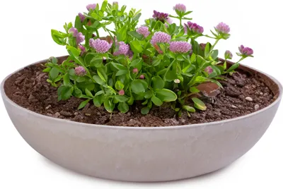 Image de Jardinières pour l'extérieur Jardinières décoratives rondes sable beige 20 cm