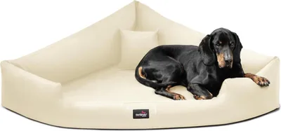 Produktbild von tierlando® TRIVIA | Orthopädisches Eckhundebett Kunstleder Hundebett Dreieckbett - Größe: 120x120cm | Farbe: 05 Creme
