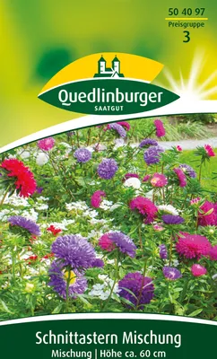 Produktbild von Schnittastern Mischung | Blumensamenmischung von Quedlinburger