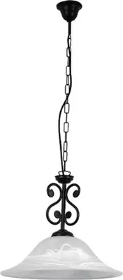 A single pendant light fixture against a white background.
