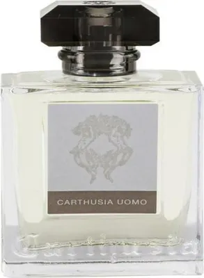 Zdjęcie produktu dla Carthusia carthusia uomo epv 100ml