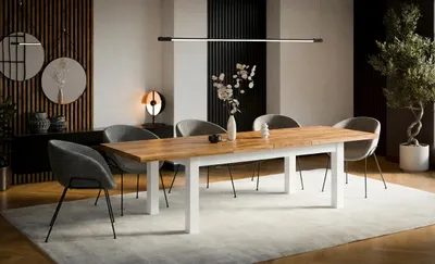 A modern dining room with a wooden dining table and chairs, set on a rug with a large plant in the background.
