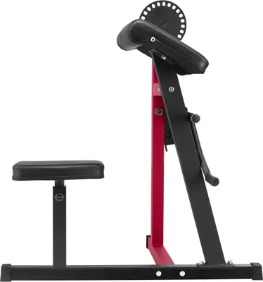 Obrázek produktu pro 2 v 1 lavice pro bicepsové zdvihy a tricepsové prodloužení