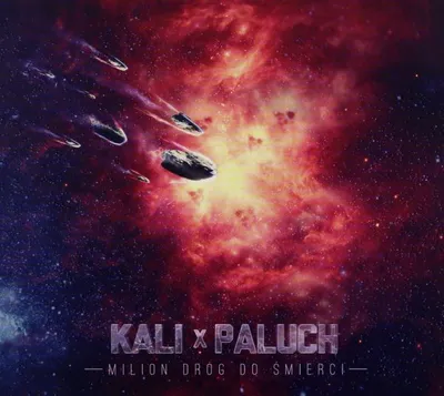 Obrázek produktu pro Kali & Paluch: Million Dróg Do Śmierci (digipack)