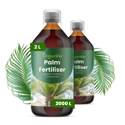Produktbild von Palmen Flüssigdünger 2x1L – 2-1-8 NPK – Flüssig-Pflanzendünger für Palmen – Fördert gesunde Wurzeln & stabile Pflanzenentwicklung – Organifer
