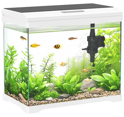 Produktbild von PawHut Aquarium mit LED-Beleuchtung, Filtersystem, 17L Fischtank mit Luftpumpe