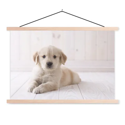 Produktbild von MuchoWow® Textilposter Weißer Golden Retriever Welpe 60x40 cm mit holzfarbenen Rahmen - Bilder