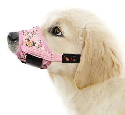 Imagen del producto de Arnés de nylon ajustable y transpirable, talla S, para perros
