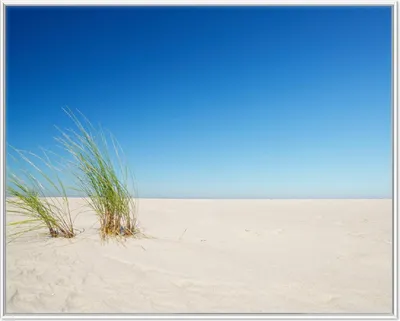 Produktbild von Wallario Wandbild Sandstrand unter blauem Himmel, Größe: 40,30 x 50,30 cm, Poster mit weißem Aluminiumrahmen