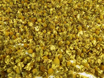 Produktbild von Kamillenblüten europäisch ganz Naturideen® 100g