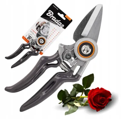 Produktbild von Bradas V-SERIES Gartenschere SK5 Stahl für Äste und Blumen
