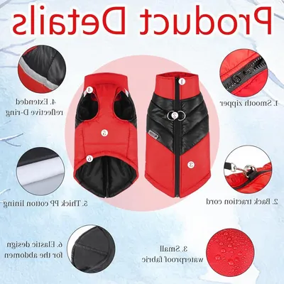 Winterjacke für Hunde, winddicht und wasserdicht, 2-in-1 Design, geeignet für kleine Hunde und Welpen, reflektierende