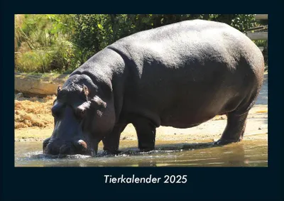 Produktbild von Tierkalender 2025 Fotokalender DIN A4