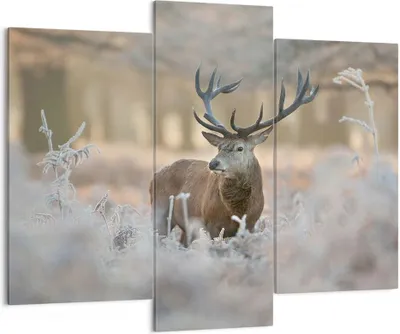Produktbild von Bild auf Leinwand - Leinwandbild - Hirsch Wald Natur - 130x100cm - Wand Bild - Wanddeko - Leinwanddruck - Bilder - Kunstdruck - Wanddekoration - Leinwand bilder - Wandkunst - CB130x100-3744
