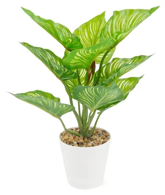 Immagine prodotto di Piante artificiali in vaso bianco - Piante decorative per interni ed esterni