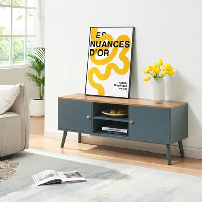 Produktbild von Fernsehschrank 'Reyljand' mit 2 Türen 120 x 35 x 50 cm Grau / Eicheoptik