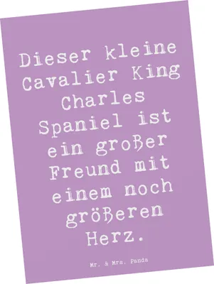Produktbild von Mr. & Mrs. Panda Postkarte Spruch Cavalier King Charles Spaniel - Lavendeltraum - Geschenk, Hunderasse, Hunderassen, Pflege, Familienmitglied, freundlich, Ansichtskarten