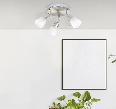 A ceiling light fixture with three adjustable spotlights is mounted on a white ceiling above a framed piece of art and a plant.