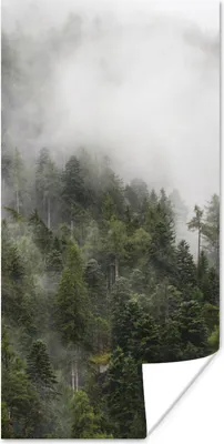 Produktbild von MuchoWow® Poster Wald - Nebel - Berg 60x120 cm - Wandschmuck