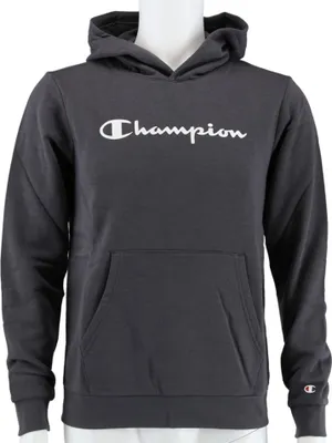 Productafbeelding van Sweatshirt Champion Big Logo Print 305358ES508