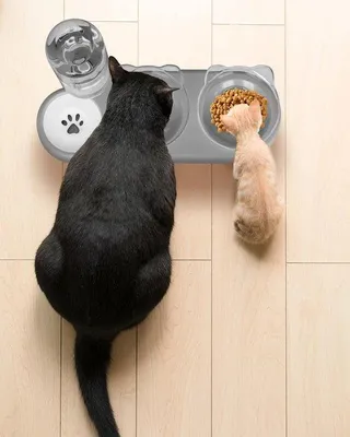 Productafbeelding van Famanu Katzenklo - Kattenbak met 3-in-1 voerstation